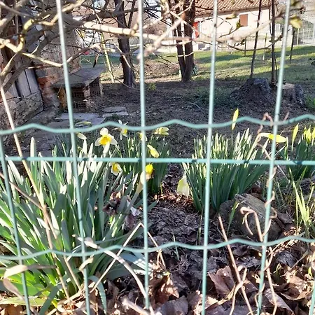 Da Betty فندق مبيت وإفطار آستي