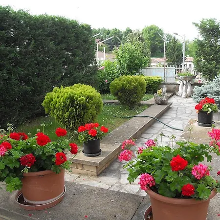 Da Betty 3* آستي